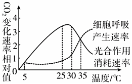 菁優(yōu)網