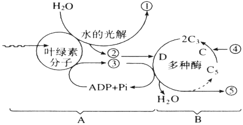 菁優(yōu)網(wǎng)