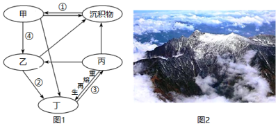 菁優(yōu)網