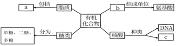 菁優(yōu)網