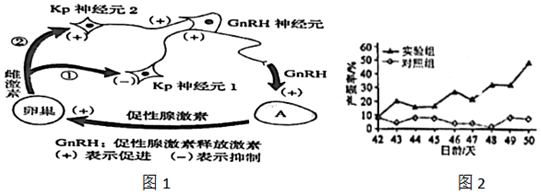 菁優(yōu)網