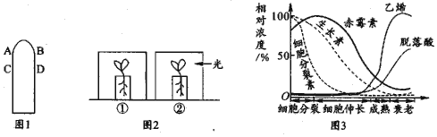 菁優(yōu)網(wǎng)