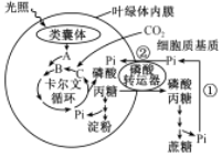 菁優(yōu)網(wǎng)