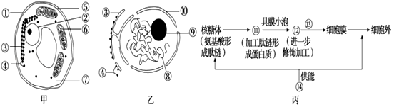 菁優(yōu)網(wǎng)