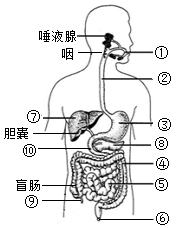 菁優(yōu)網(wǎng)