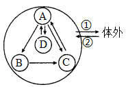 菁優(yōu)網(wǎng)