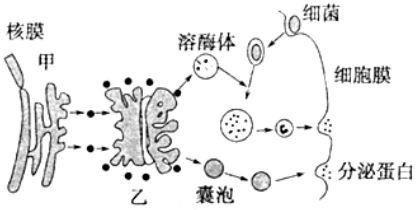 菁優(yōu)網