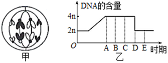 菁優(yōu)網(wǎng)