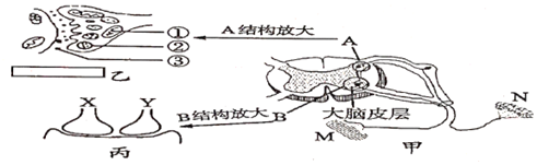 菁優(yōu)網