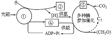 菁優(yōu)網(wǎng)