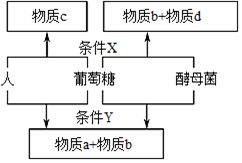 菁優(yōu)網