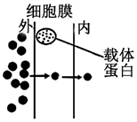 菁優(yōu)網(wǎng)