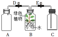 菁優(yōu)網(wǎng)