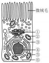 菁優(yōu)網