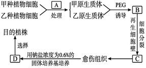 菁優(yōu)網(wǎng)