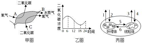 菁優(yōu)網(wǎng)