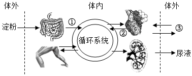 菁優(yōu)網(wǎng)