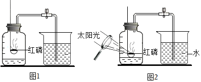 菁優(yōu)網