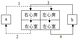 菁優(yōu)網(wǎng)