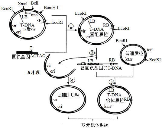 菁優(yōu)網(wǎng)