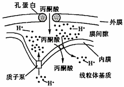 菁優(yōu)網