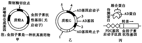 菁優(yōu)網