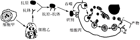 菁優(yōu)網(wǎng)