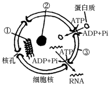 菁優(yōu)網