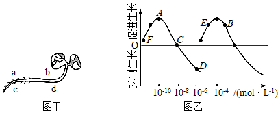 菁優(yōu)網(wǎng)