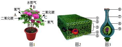 菁優(yōu)網(wǎng)