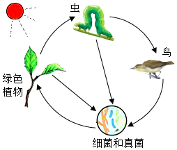 菁優(yōu)網(wǎng)