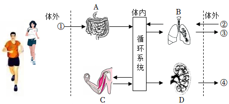 菁優(yōu)網(wǎng)