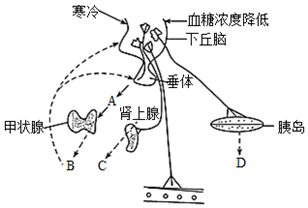 菁優(yōu)網(wǎng)