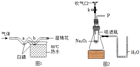 菁優(yōu)網(wǎng)