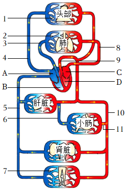 菁優(yōu)網(wǎng)