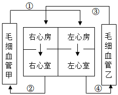 菁優(yōu)網(wǎng)