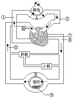 菁優(yōu)網(wǎng)