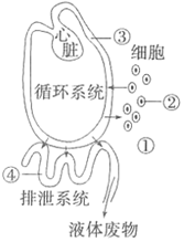 菁優(yōu)網(wǎng)