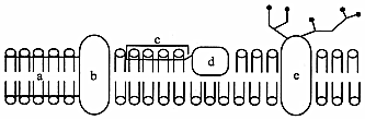 菁優(yōu)網