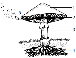 菁優(yōu)網