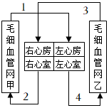 菁優(yōu)網(wǎng)