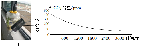 菁優(yōu)網(wǎng)