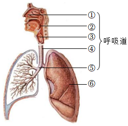 菁優(yōu)網