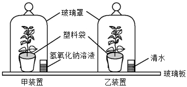 菁優(yōu)網(wǎng)