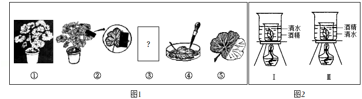 菁優(yōu)網