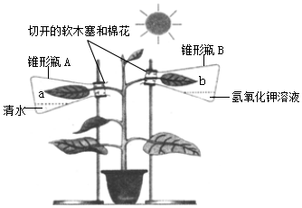 菁優(yōu)網(wǎng)