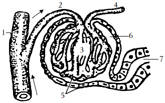 菁優(yōu)網(wǎng)