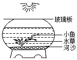 菁優(yōu)網(wǎng)