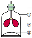 菁優(yōu)網(wǎng)