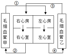 菁優(yōu)網(wǎng)